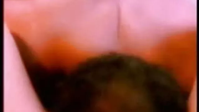 गर्म अश्लील कोई पंजीकरण  असली छात्रा चल रही सेक्सी पिक्चर फुल सेक्स है