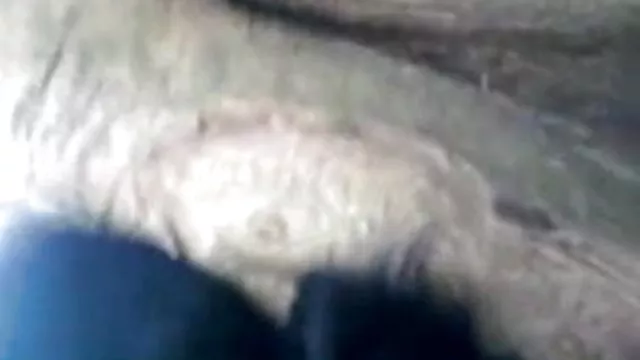 गर्म अश्लील कोई पंजीकरण  जापानी किशोर डबल फुल सेक्सी इंग्लिश पिक्चर प्रवेश बिना सेंसर