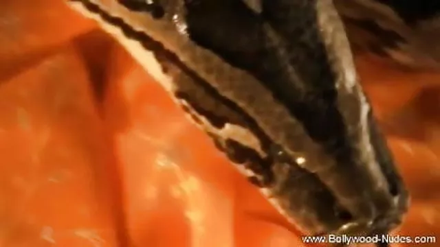 गर्म अश्लील कोई पंजीकरण  मालिश उसे सेक्सी प्राकृतिक स्तन ब्लू पिक्चर सेक्स वीडियो फुल मूवी