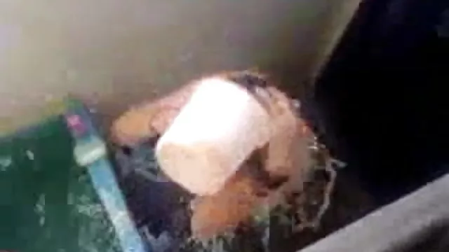 गर्म अश्लील कोई पंजीकरण  एशियाई छात्रा फुल सेक्स पिक्चर कक्षा में कमबख्त हो जाता है