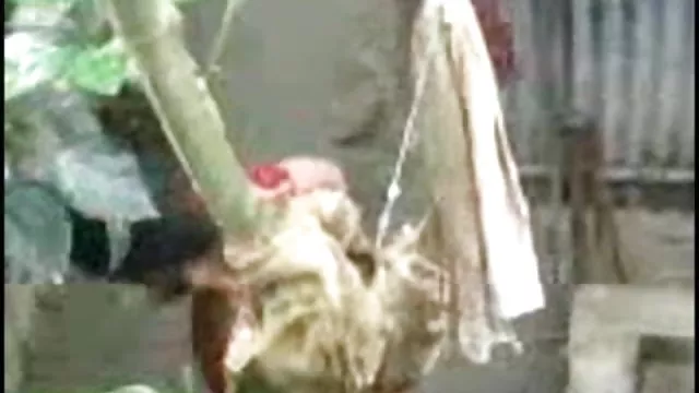 गर्म अश्लील कोई पंजीकरण  तंग ब्लू पिक्चर सेक्सी फुल मूवी वीडियो गधे के लिए एक मुर्गा