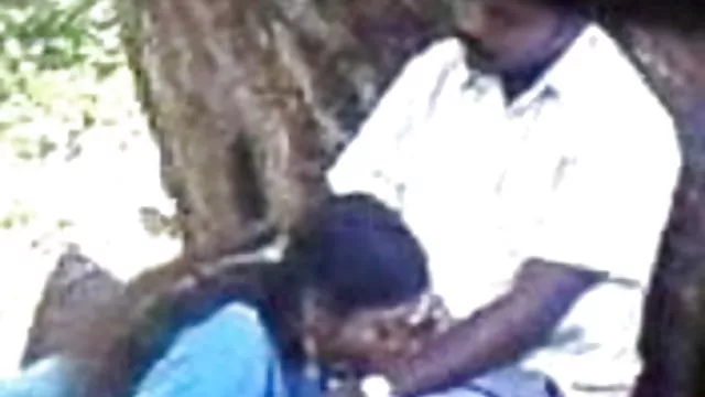 गर्म अश्लील कोई पंजीकरण  सुनहरे बालों वाली गर्म सेक्सी हिंदी फुल पिक्चर संडे क्रीम के साथ बिल्ली बेकार है!
